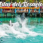 apartamentos amoblados o hotel en Cartagena para arriendo por día desde 330 mil pesos hasta 600 mil mil pesos colombianos
